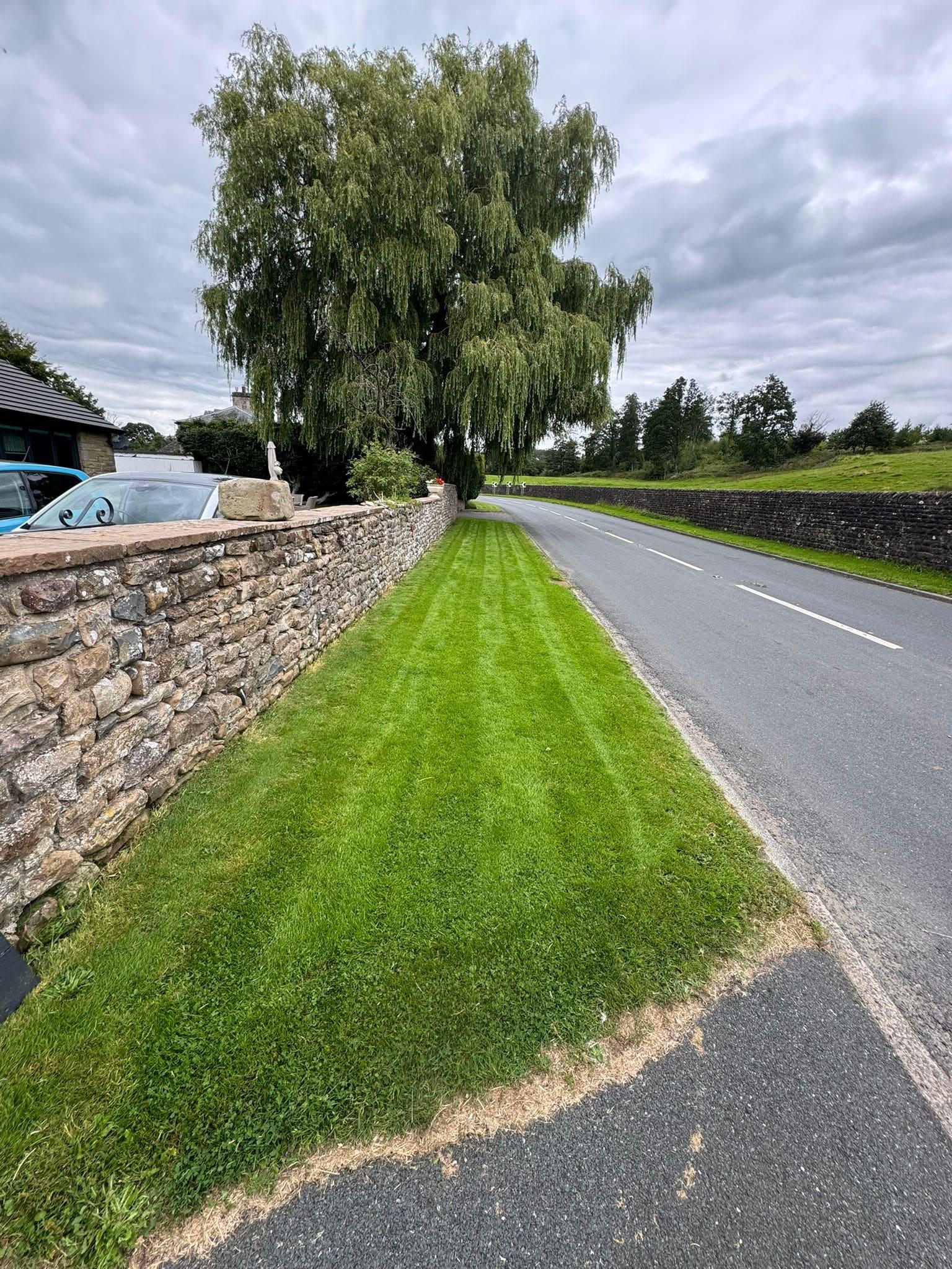 A garden maintained by Lomax Gardening Services