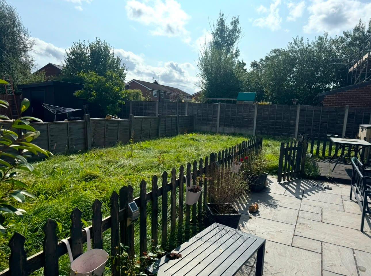 Lawn revival & tidy-up, before
