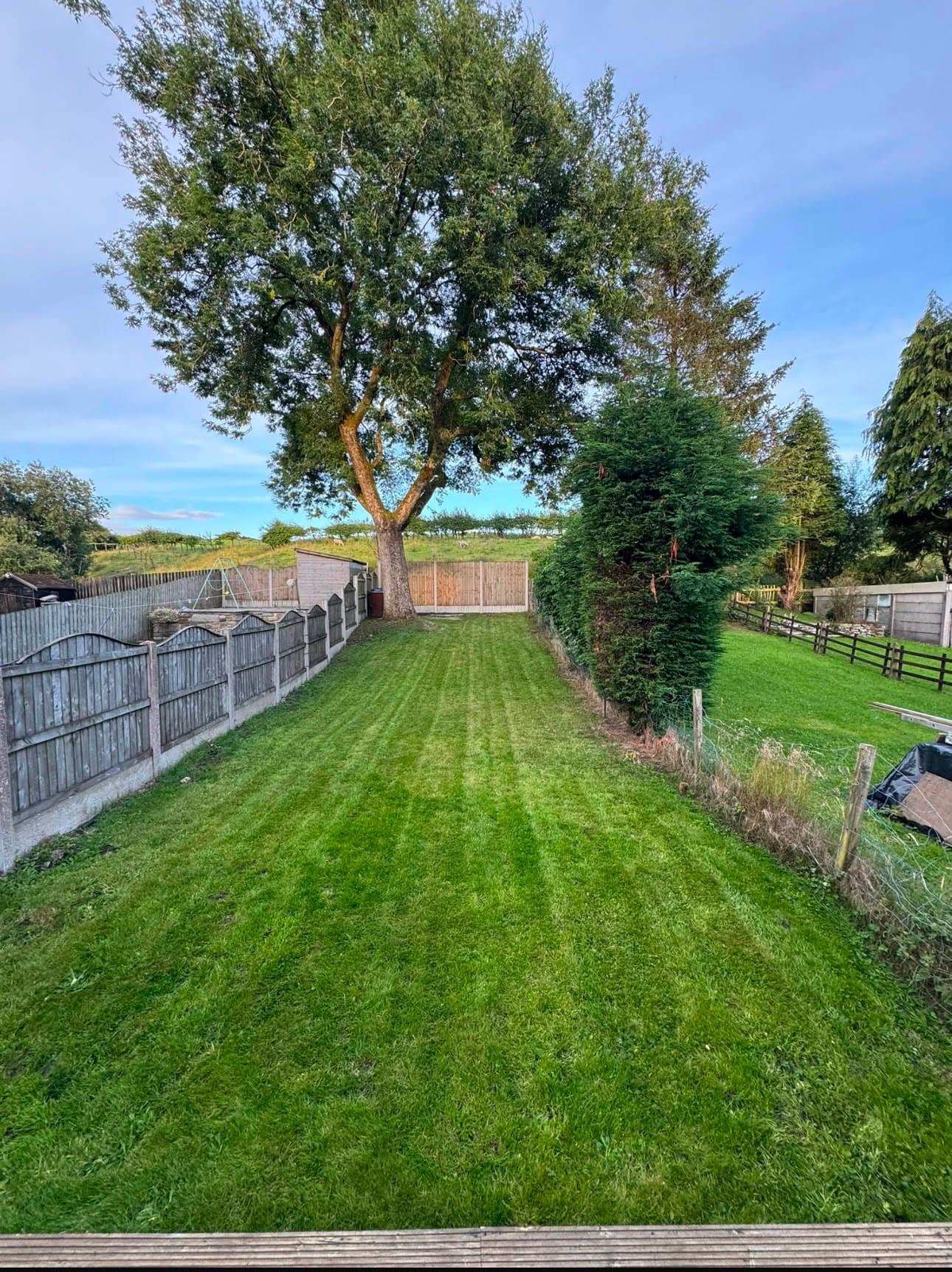 A garden maintained by Lomax Gardening Services