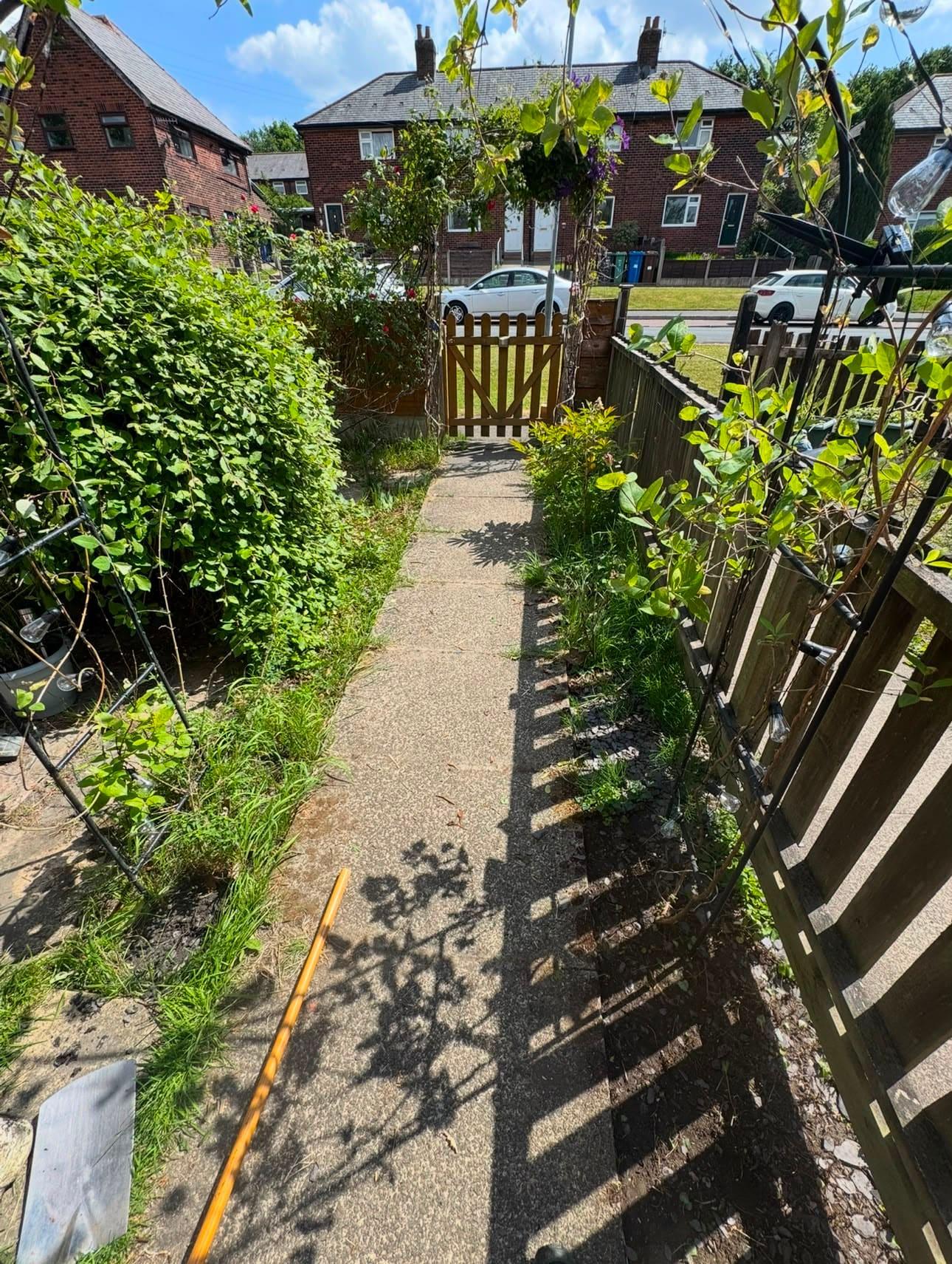 Path & border clear-out, before