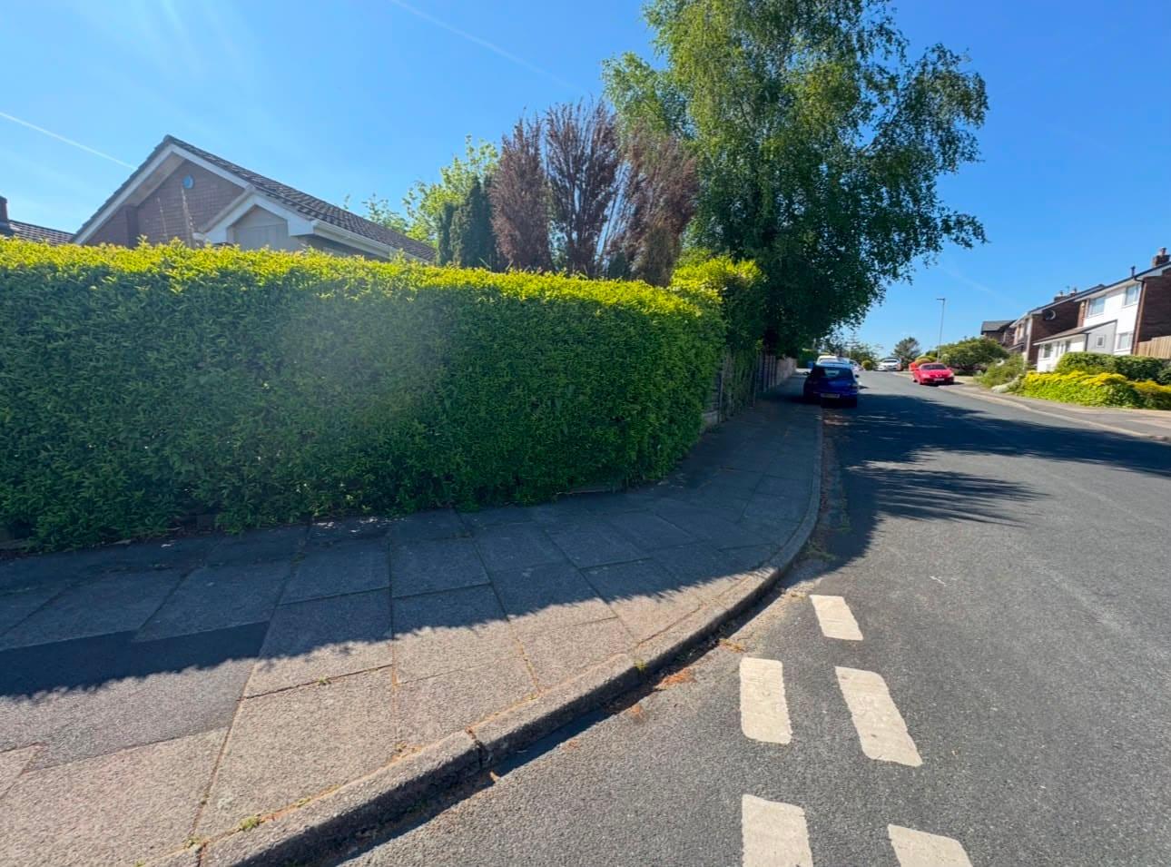 Roadside hedge trim, before