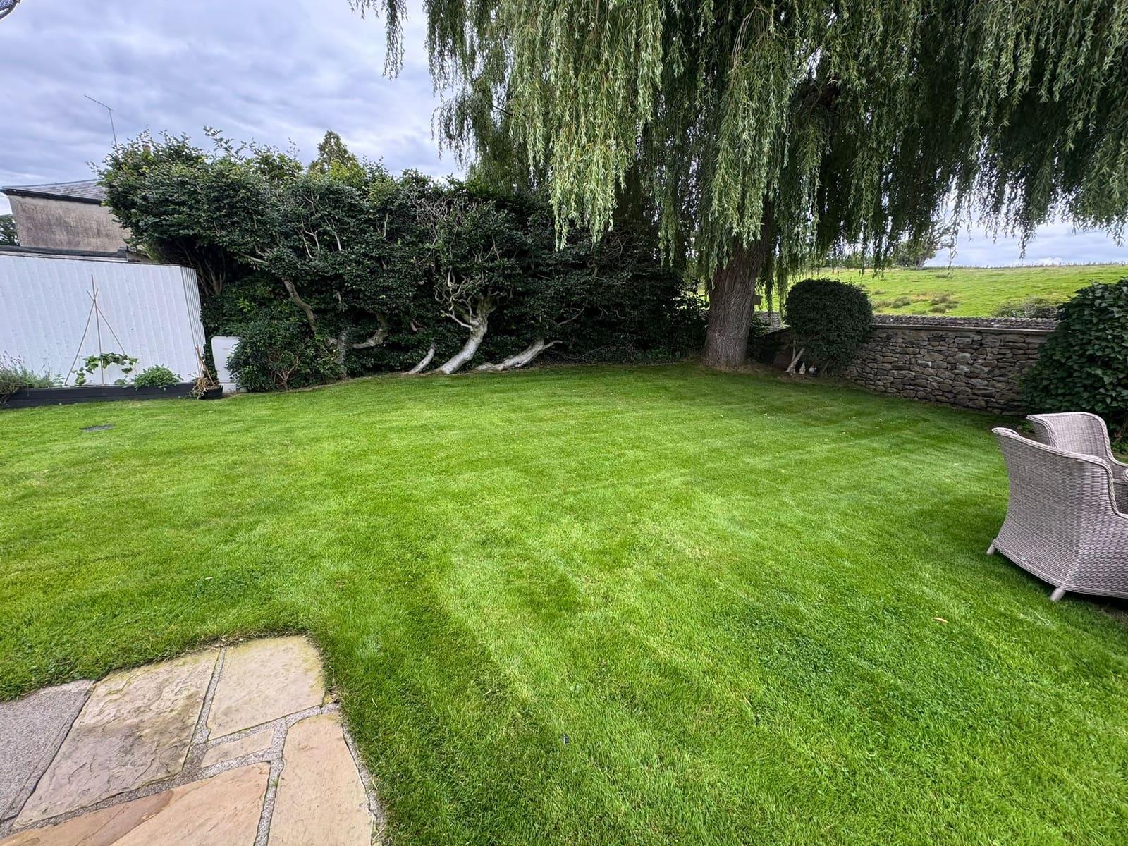 A freshly mown striped lawn